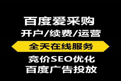百度竞价排名机制：成功案例与策略探讨
